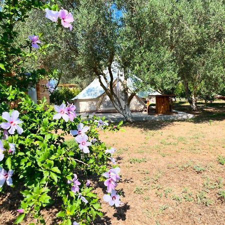 Eco Glamping With Pool Between Nafplio And Árgos Eksteriør bilde