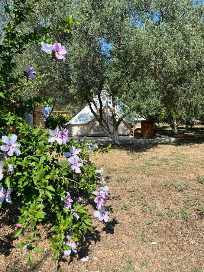 Eco Glamping With Pool Between Nafplio And Árgos Eksteriør bilde