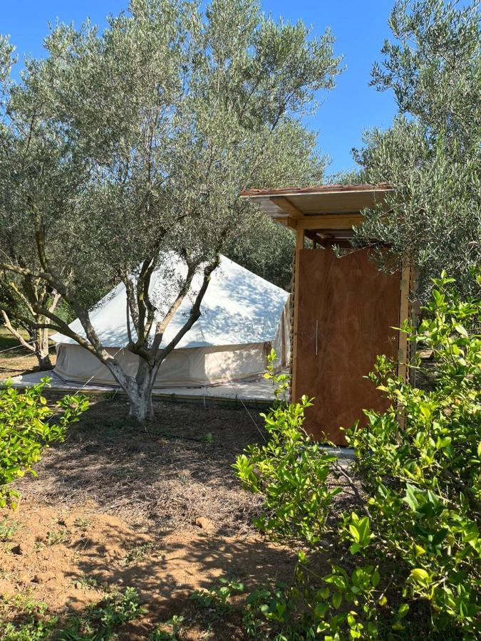 Eco Glamping With Pool Between Nafplio And Árgos Eksteriør bilde