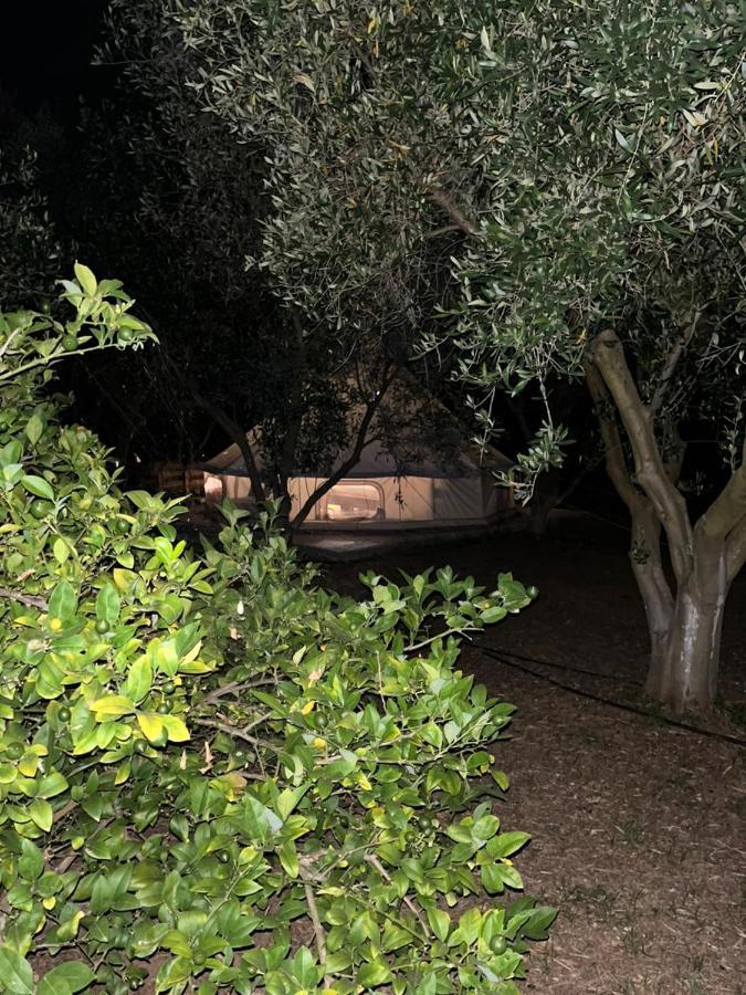 Eco Glamping With Pool Between Nafplio And Árgos Eksteriør bilde