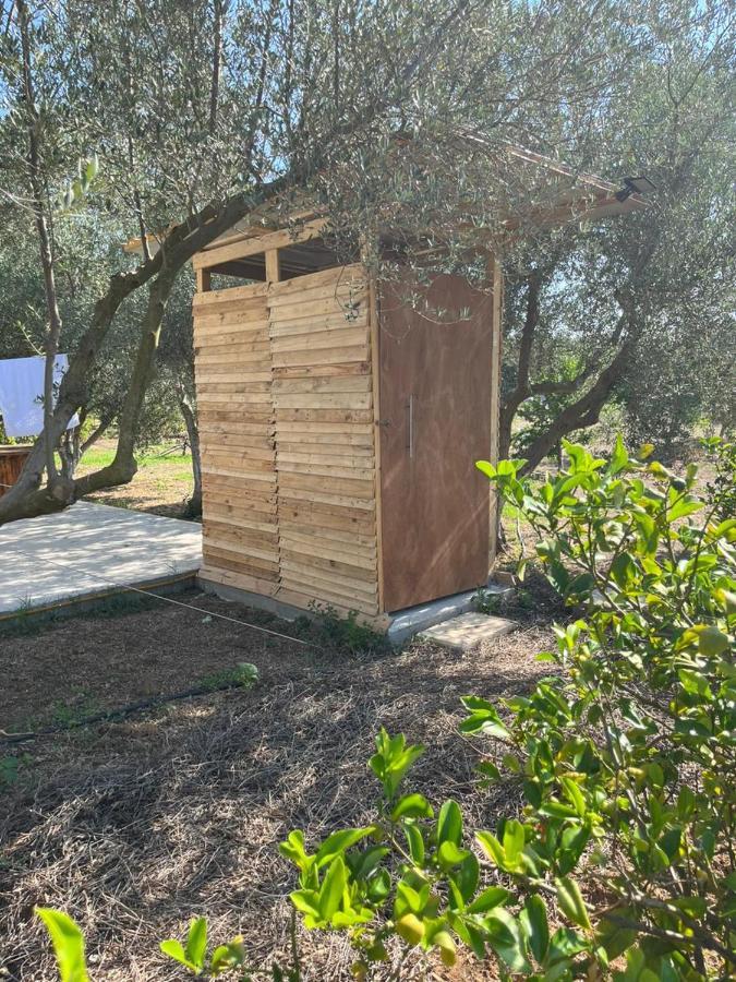 Eco Glamping With Pool Between Nafplio And Árgos Eksteriør bilde