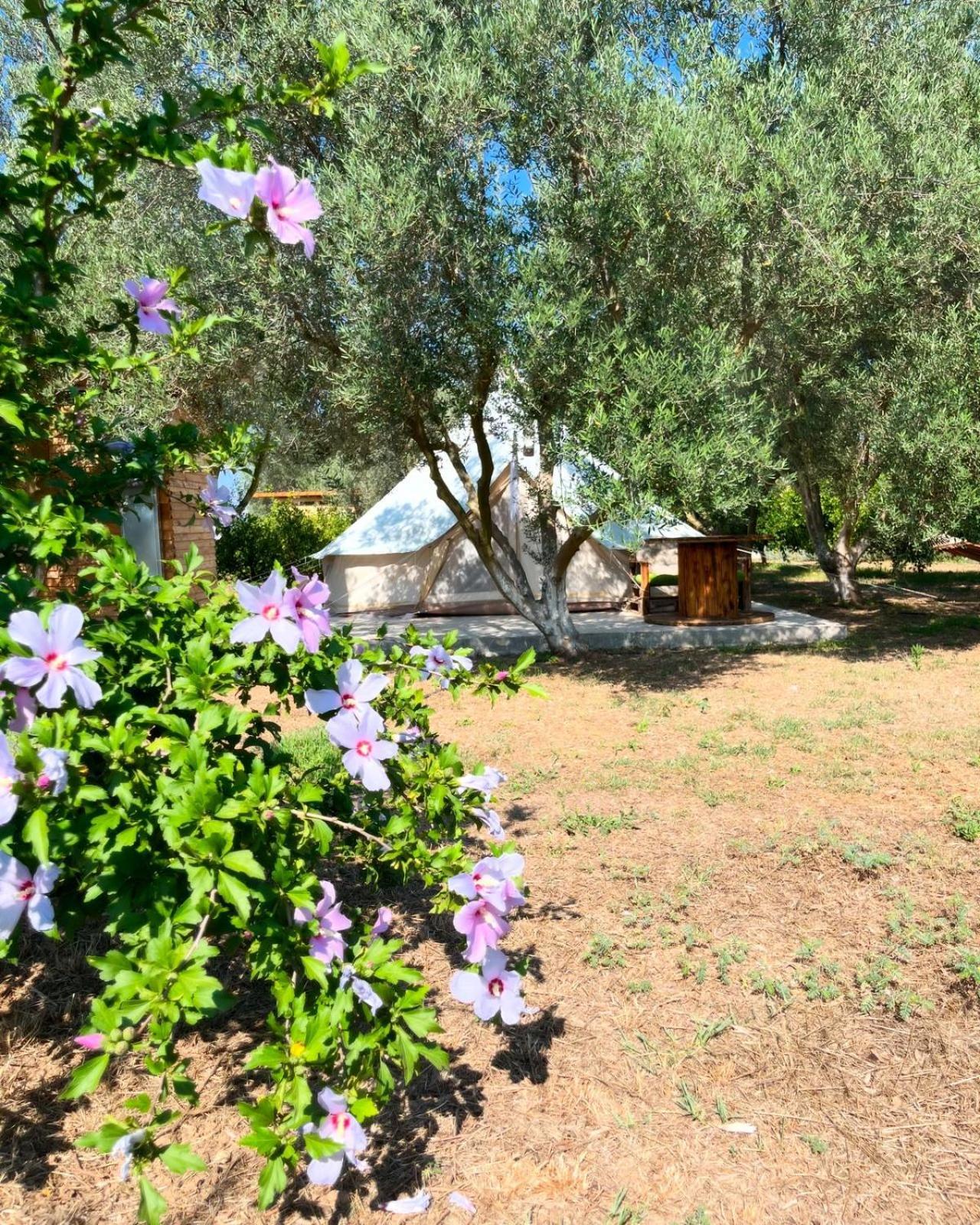 Eco Glamping With Pool Between Nafplio And Árgos Eksteriør bilde