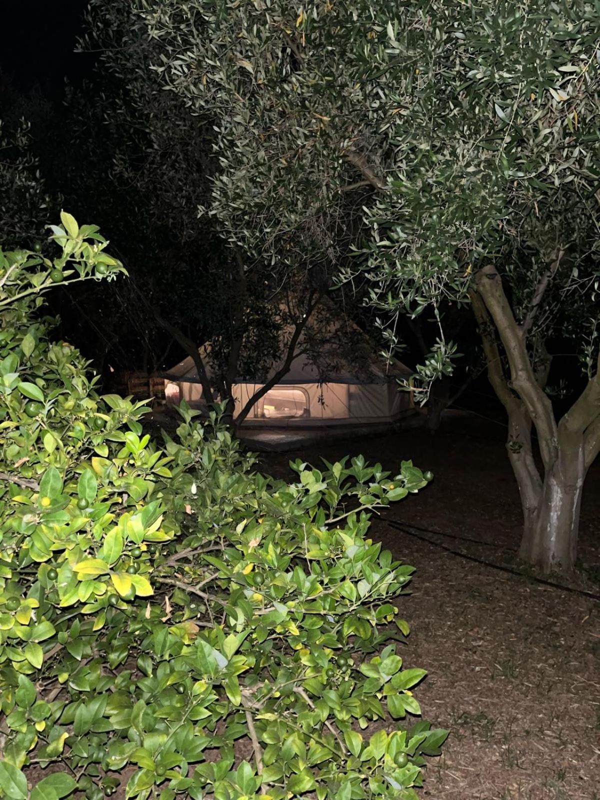 Eco Glamping With Pool Between Nafplio And Árgos Eksteriør bilde